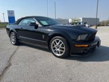 Used 2009 Ford Mustang Shelby GT500 image 5