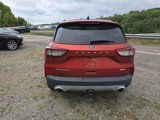 Used 2020 Ford Escape Titanium image 4