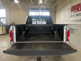 Used 2016 Ford F150 XLT w/ Equipment Group 302A Luxury image 5