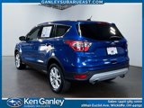 Used 2017 Ford Escape SE image 3