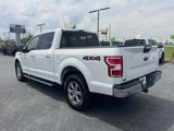 Used 2020 Ford F150 XLT w/ Equipment Group 302A Luxury image 4