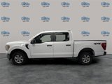 Used 2021 Ford F150 XL w/ Trailer Tow Package image 2