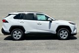 Used 2019 Toyota RAV4 XLE image 3