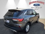 Certified 2022 Ford Escape SE w/ Convenience Package image 5