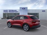 New 2025 Ford Escape ST-Line w/ Tech Pack #1 image 4