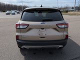 Used 2021 Ford Escape Titanium w/ Titanium Elite Package image 4