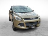 Used 2014 Ford Escape SE image 2