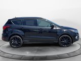 Used 2019 Ford Escape SE image 2