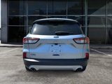 Used 2022 Ford Escape SEL image 5