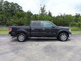 Used 2014 Ford F150 XLT w/ Equipment Group 302A Luxury image 5