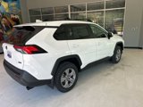 New 2025 Toyota RAV4 XLE w/ Convenience Package image 5