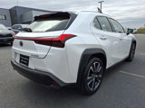Used 2020 Lexus UX 250h w/ Premium Package image 4