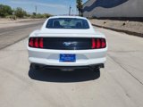 Used 2023 Ford Mustang Premium image 6