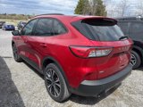 Used 2022 Ford Escape SE w/ SE Sport Appearance Package image 2