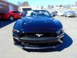 Used 2022 Ford Mustang Premium image 2