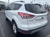 Used 2014 Ford Escape SE w/ Equipment Group 201A image 4