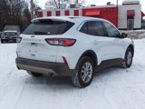 Used 2022 Ford Escape SE image 5