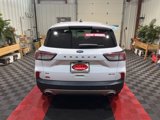 Used 2021 Ford Escape SE image 4