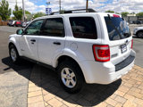 Used 2010 Ford Escape 4WD Hybrid image 4