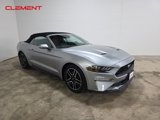 Certified 2022 Ford Mustang Premium image 3