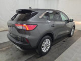 Used 2020 Ford Escape SE image 4