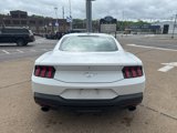 Used 2024 Ford Mustang Coupe image 5