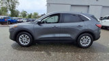 Certified 2022 Ford Escape SE image 5