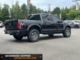Used 2018 Ford F150 Raptor w/ Equipment Group 802A Luxury image 3