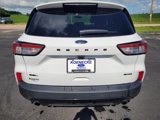 Certified 2022 Ford Escape SEL w/ SEL Stealth AWD Package image 6