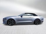 Used 2022 Ford Mustang Premium image 6