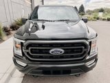 Used 2022 Ford F150 XLT image 4