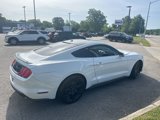 Used 2019 Ford Mustang Coupe w/ Equipment Group 101A image 3