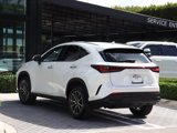 Used 2024 Lexus NX 350 AWD w/ Premium Package image 5