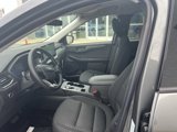 New 2025 Ford Escape Active w/ Tech Pack #1 image 4