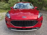 Used 2020 Ford Escape SE image 2