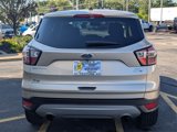 Used 2017 Ford Escape SE w/ SE Cold Weather Package image 4