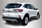 Used 2022 Ford Escape SE image 5