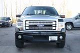 Used 2013 Ford F150 Platinum image 2