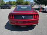 Used 2019 Ford Mustang Premium w/ Equipment Group 201A image 4