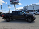 Used 2023 Ford F150 XLT w/ Equipment Group 302A High image 6