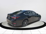 Certified 2025 Lexus ES 350 w/ Premium Package image 4