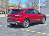 Used 2022 Ford Escape SEL image 5