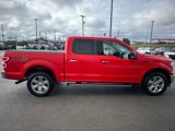 Used 2018 Ford F150 XLT w/ Equipment Group 302A Luxury image 6