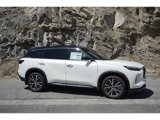 New 2025 INFINITI QX60 Autograph w/ Cargo Package image 2