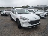 Certified 2022 Ford Escape SEL image 4