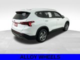 Used 2023 Hyundai Santa Fe SEL image 4