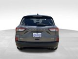 Used 2021 Ford Escape SE w/ SE Sport Appearance Package image 5