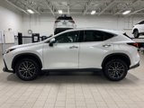 Used 2022 Lexus NX 350 AWD w/ Premium Package image 4