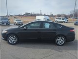 Used 2016 Ford Fusion SE image 4
