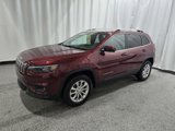 Used 2019 Jeep Cherokee Latitude w/ Cold Weather Group image 5